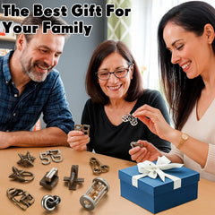 Wettarn interlocking metal puzzles highlight challenging mind games.