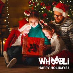 Whoobli kids boxing gift highlighting an engaging, active toy