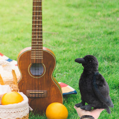 Whrigud crow plush serves as a cozy companion for home or desk.