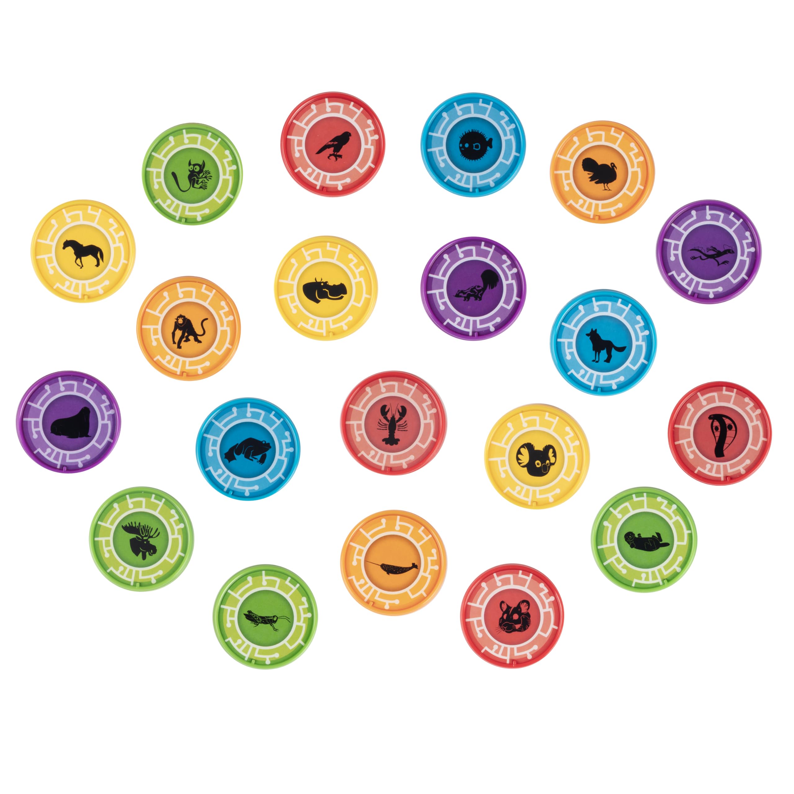 Wicked Cool Toys Wild Kratts disc holder open showcasing easy access to discs.