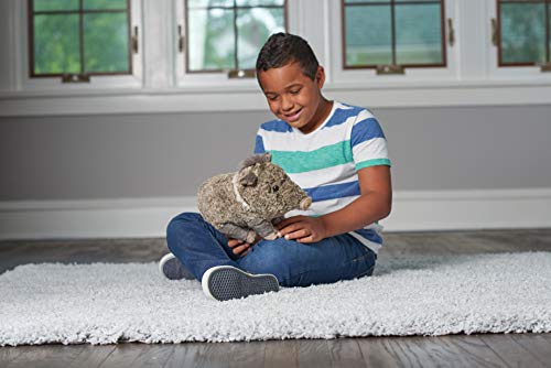 Cuddle-ready javelina plush by Wild Republic for kids and collectors.