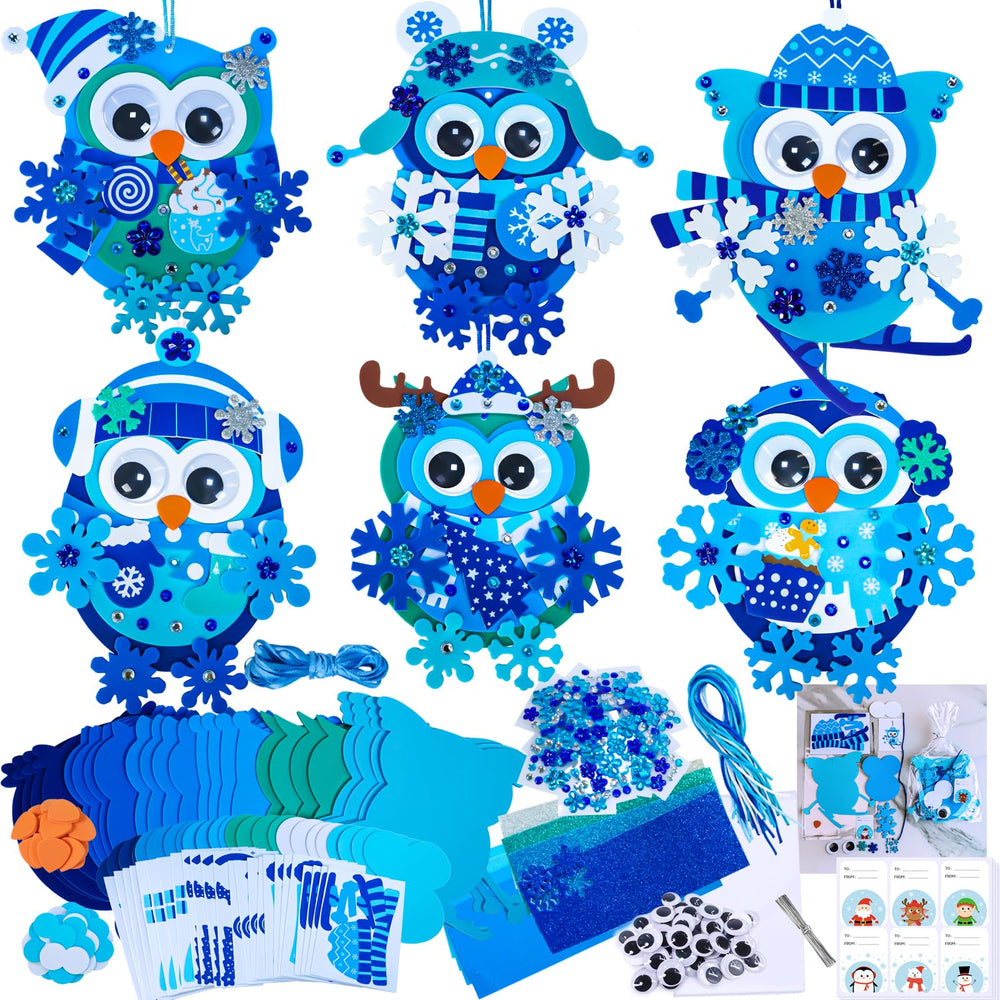 Winlyn winter-owl-ornament-set-packaging is a festive craft activity for kids.