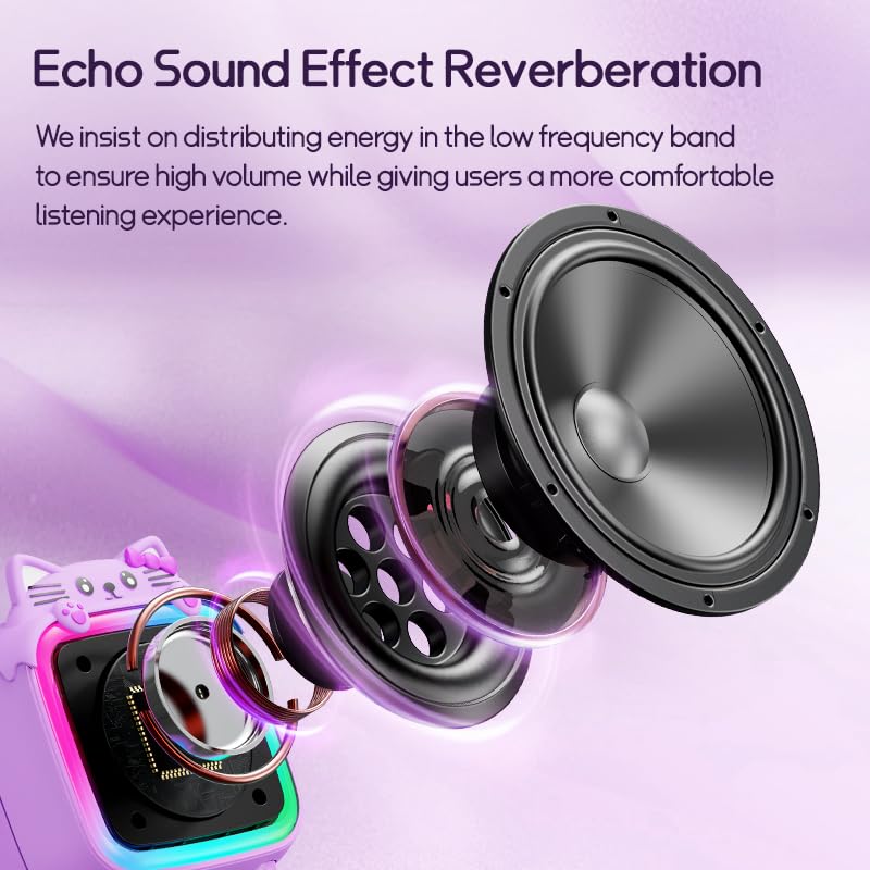 WINWEND karaoke machine streams from Bluetooth devices for playlists