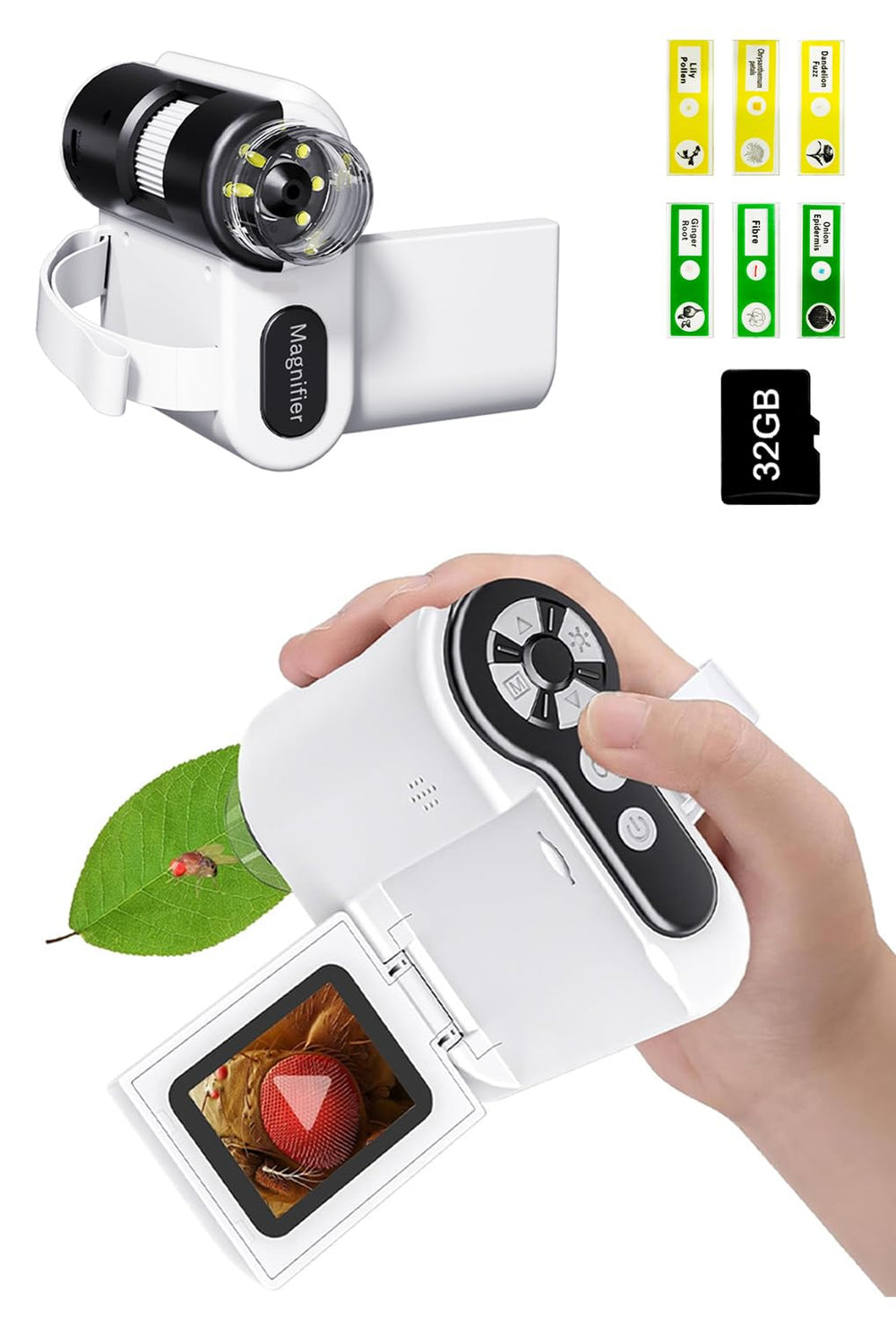 WINWEND educational tool for ages 3 to 12 inspires hands-on science at home.