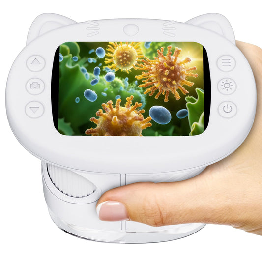 WINWEND pocket microscope screen view shows bright details for young explorers