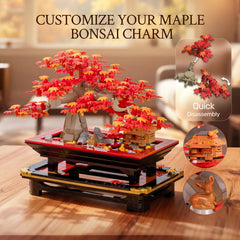 WISE BLOCK gift packaging bonsai set appeals as a thoughtful adult gift.