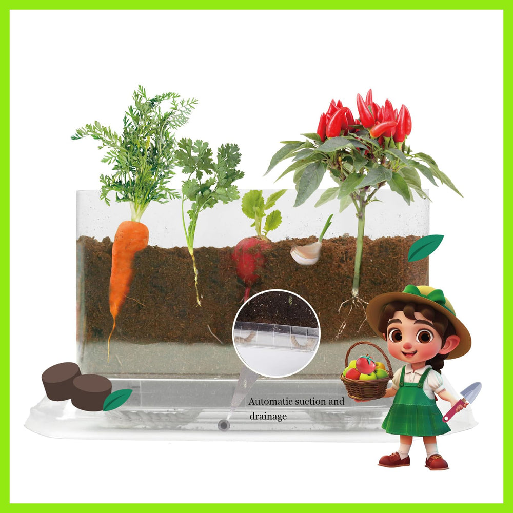 WKLOUYHE guidebook offers clear steps and scientific insights for kids.