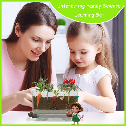 WKLOUYHE STEM adventure kit provides a complete setup for hands-on experiments.