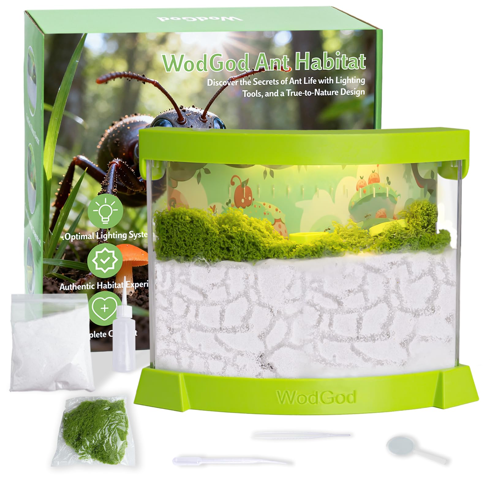 WodGod illuminated ant farm base offers bright top down viewing for tunnel observation