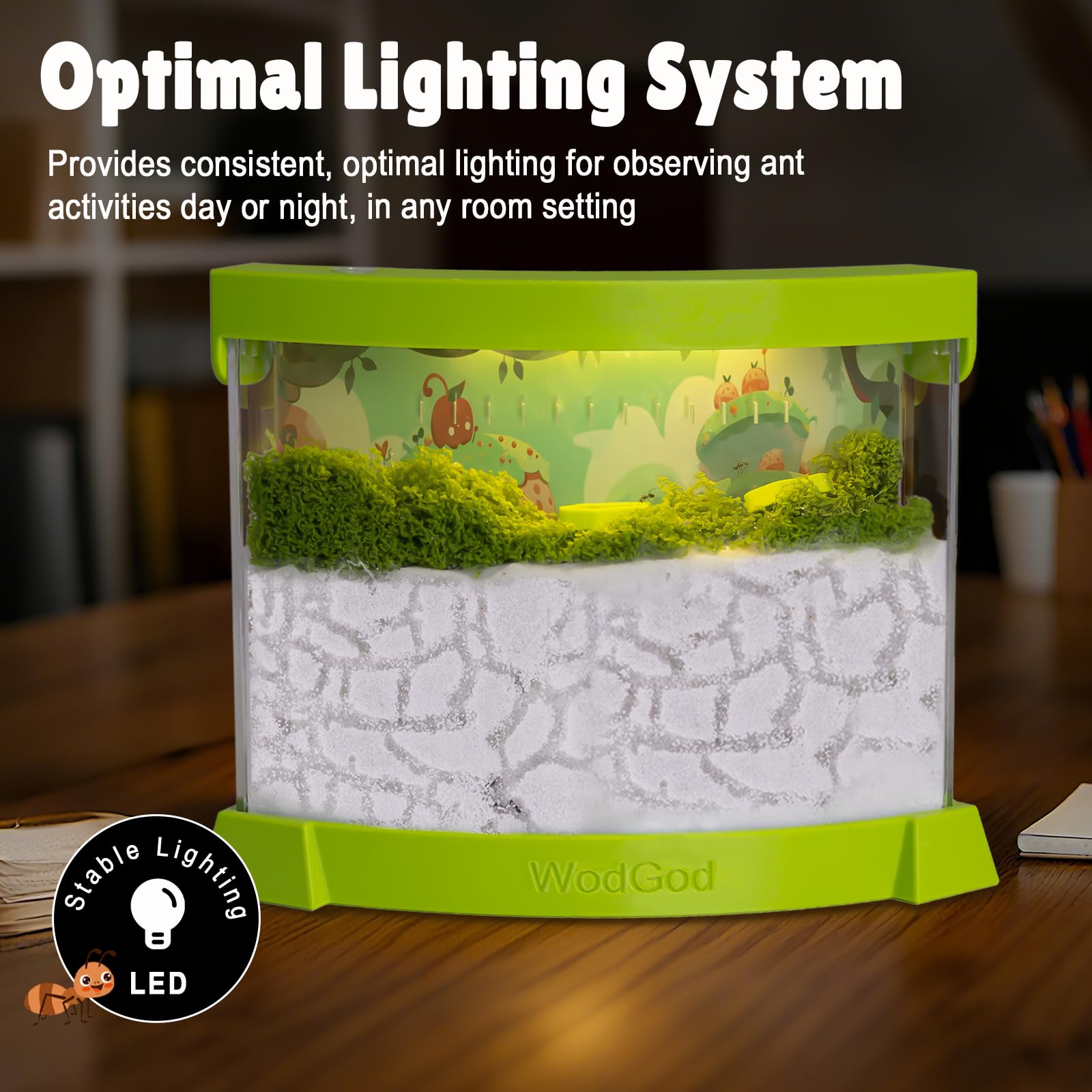 WodGod quartz sand 500g provides realistic tunnels and resource flow