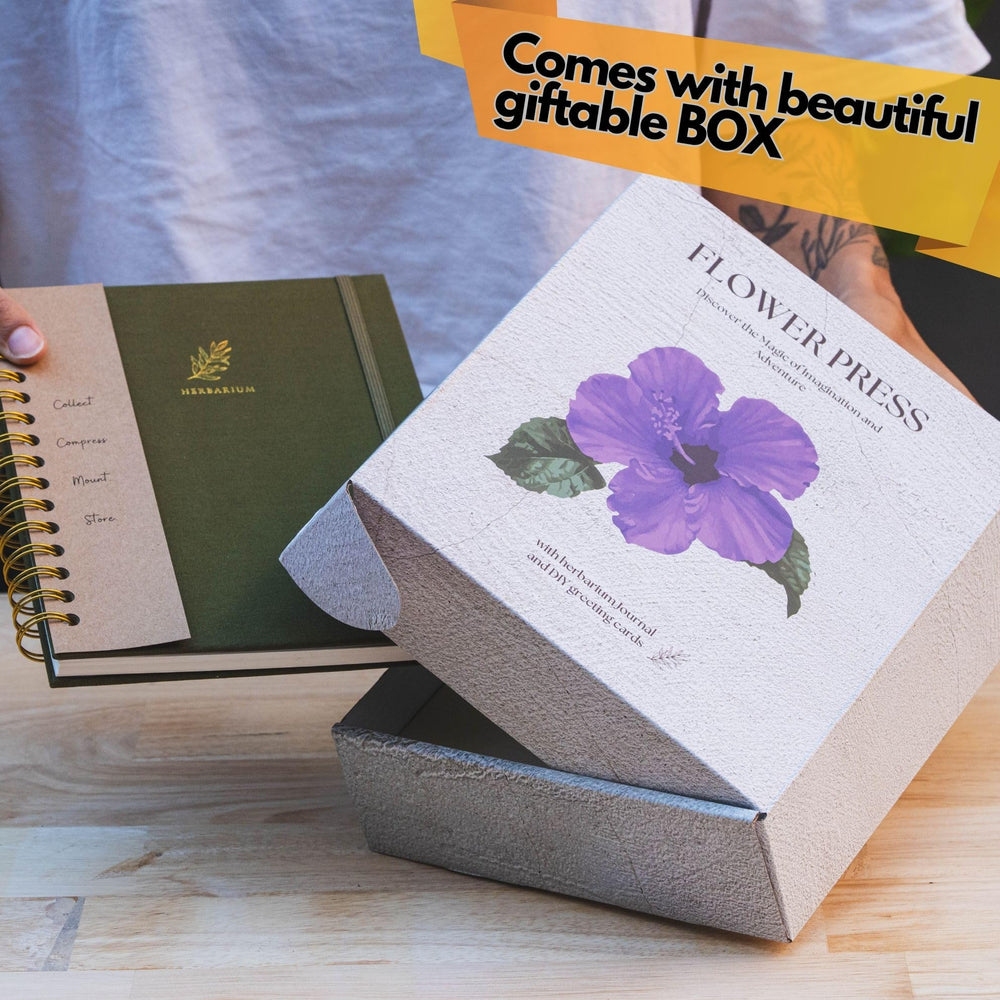 WOKK pressed flower cards for creative DIY projects and gifts.