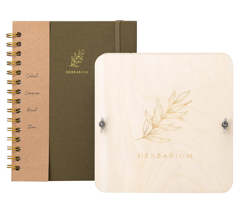 WOKK gift box kit for flower preservation and crafts.