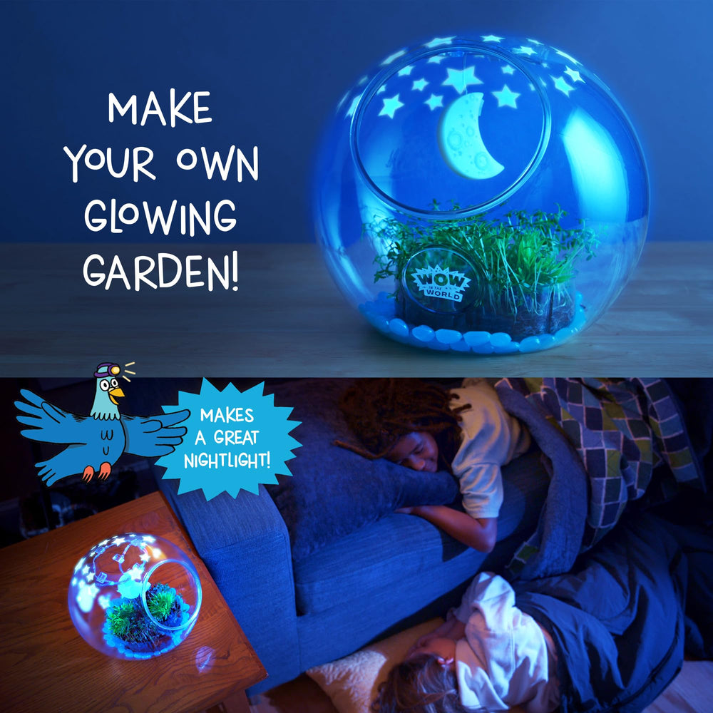 WONDERY KIDS alfalfa seed germination inside the terrarium offers hands-on growth
