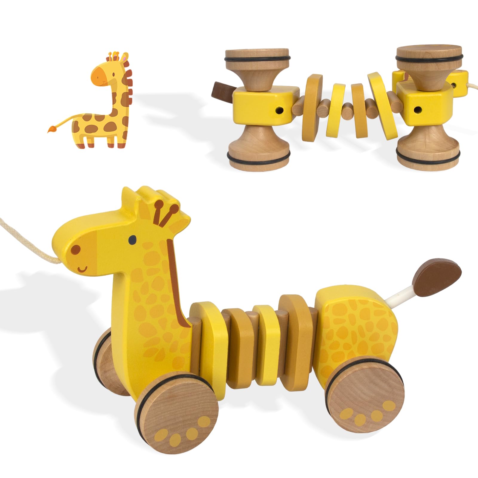 WoodenEdu pull-along toy on floor, front view, ideal for crawling and early steps.