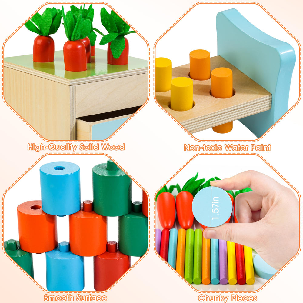 WOODMAM coin box and harvest game enhances sequencing and dexterity