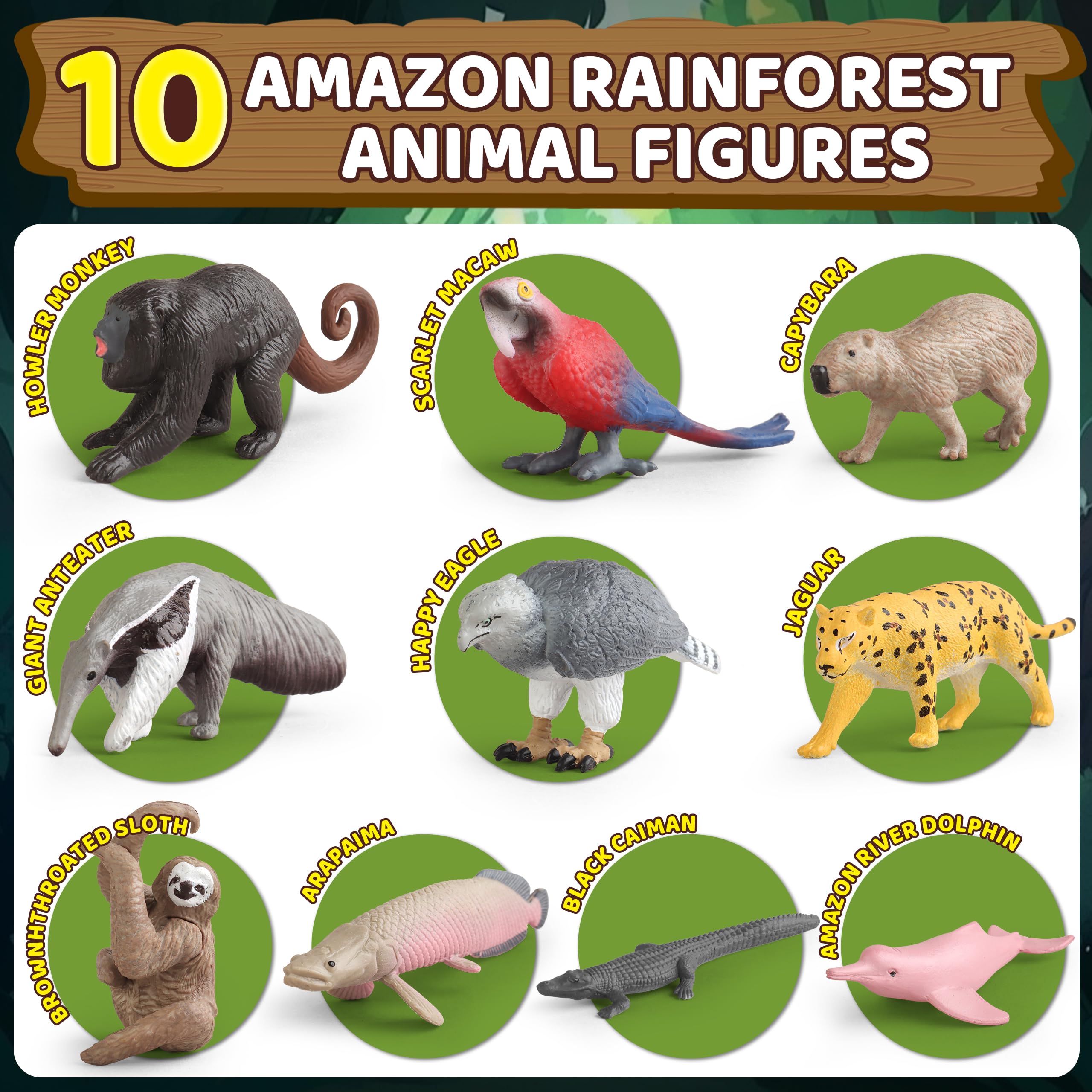 Wookidel diorama guidebook for rainforest learning activities