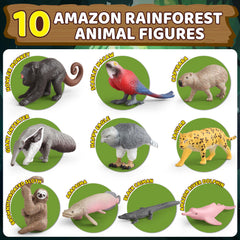 Wookidel diorama guidebook for rainforest learning activities