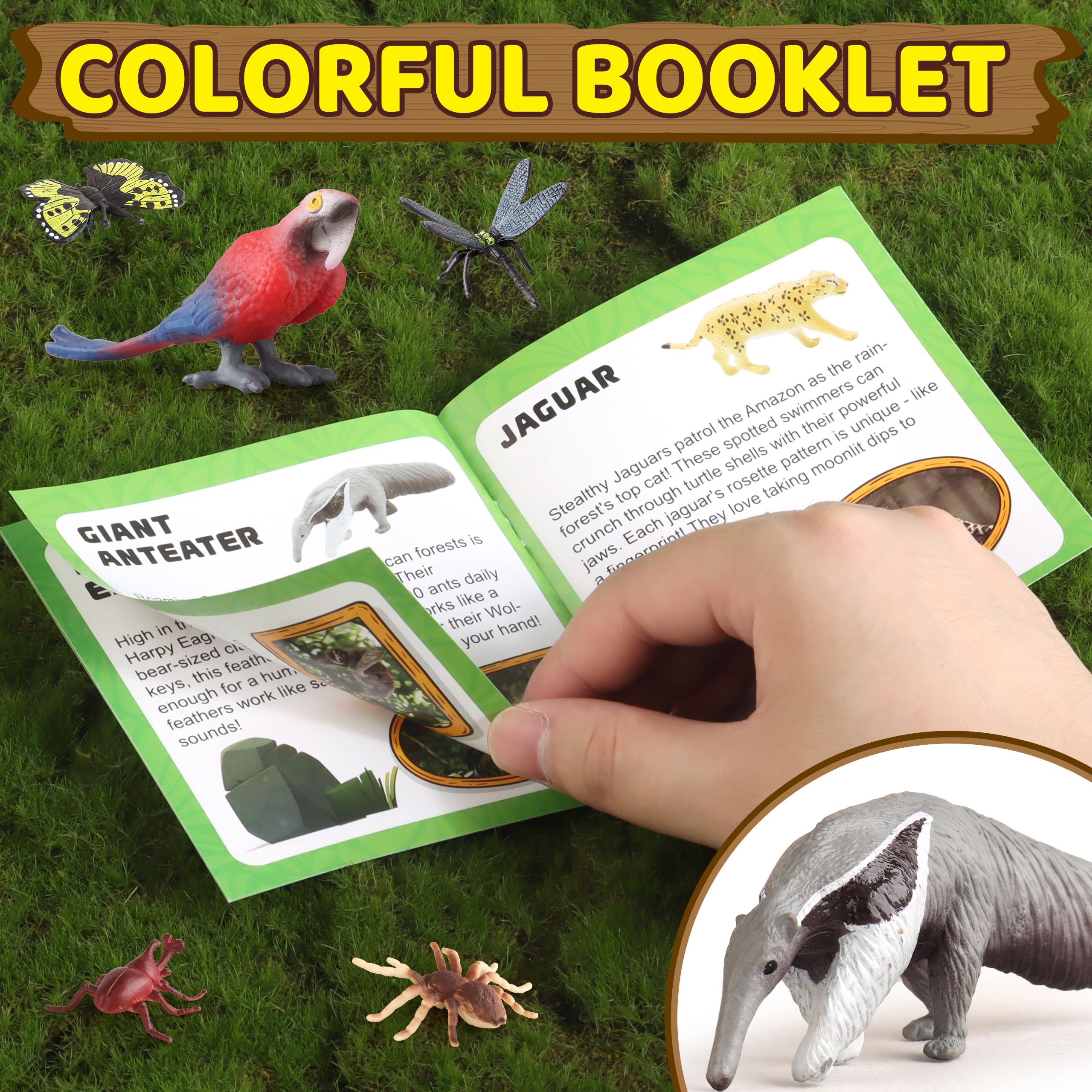 Wookidel rainforest diorama set ready for school projects or play
