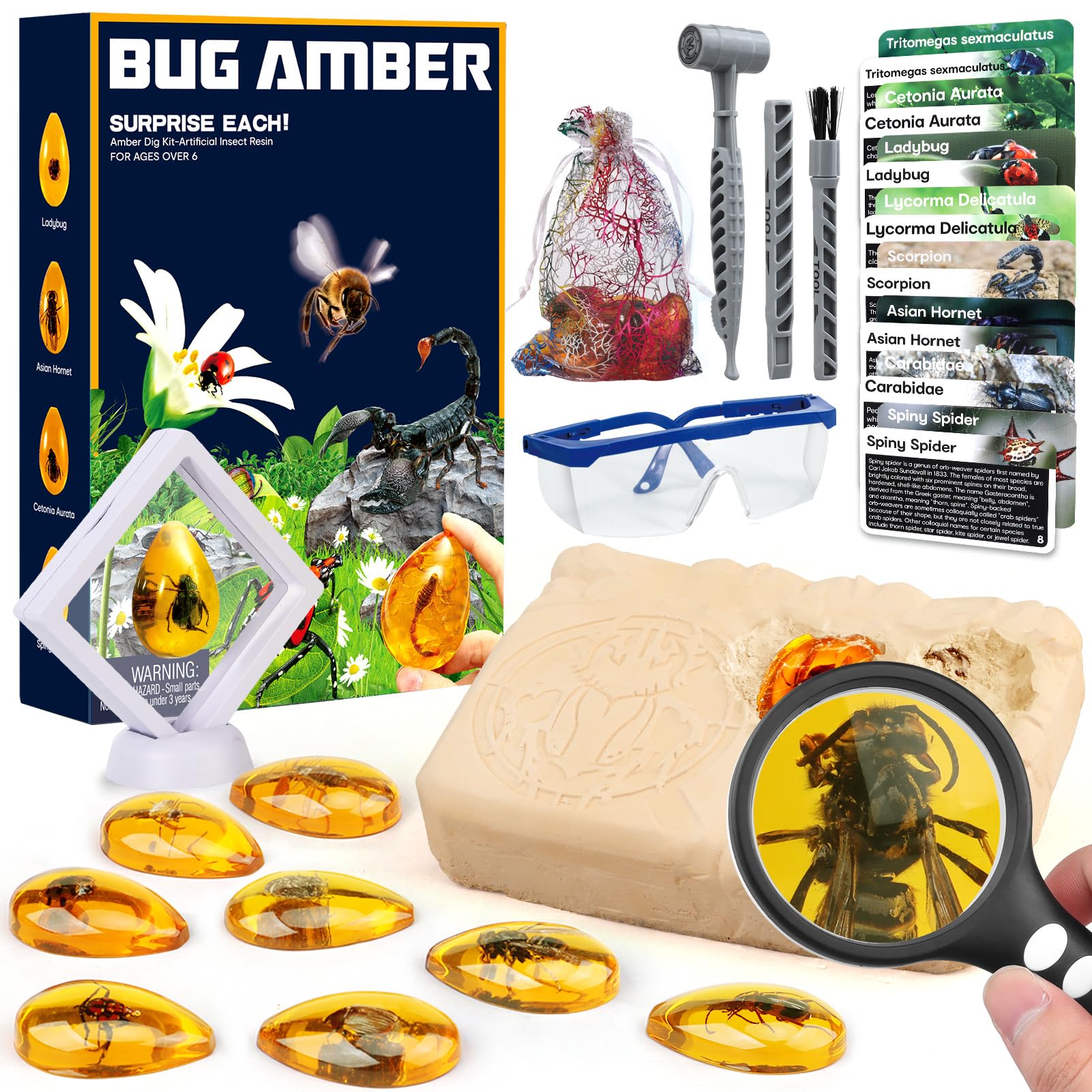 Woumserta Amber Dig Kit with 8 insect specimens ready for excavation adventure