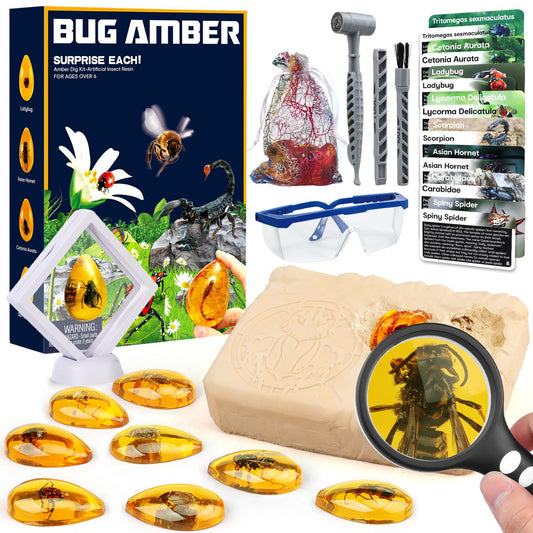 Woumserta Amber Dig Kit with 8 insect specimens ready for excavation adventure