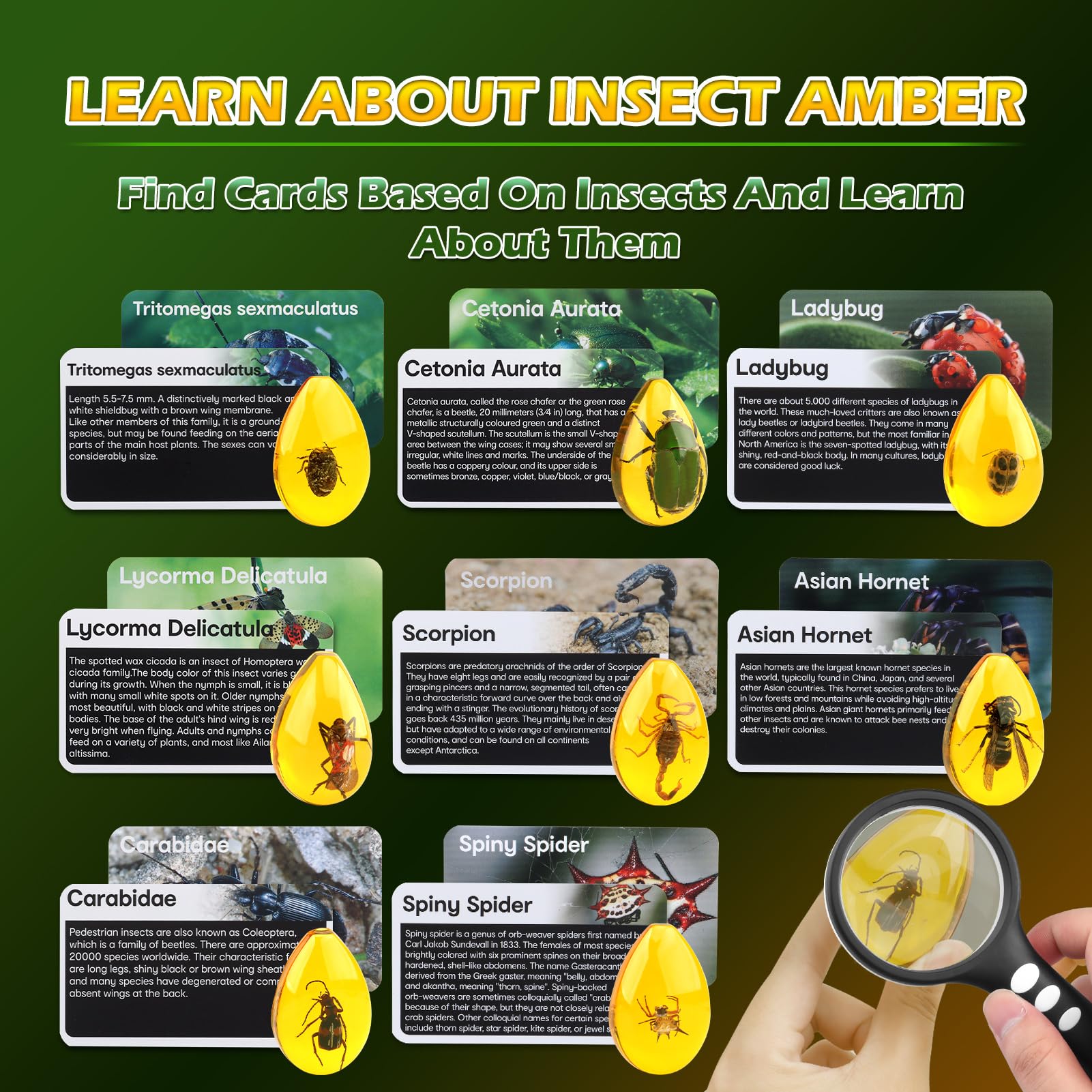Safety glasses included in the Woumserta Amber Dig Kit for safe exploration