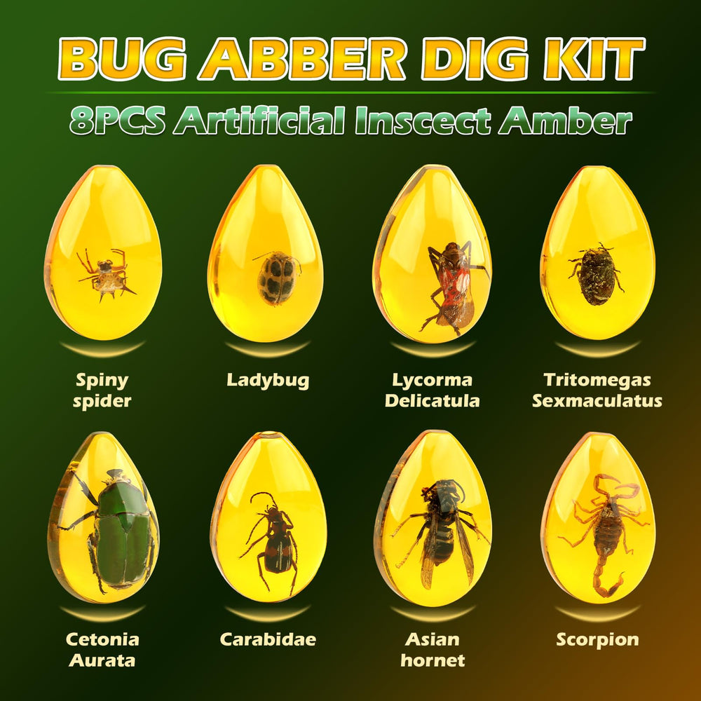 Tools from the Woumserta Amber Dig Kit for precise digging and learning