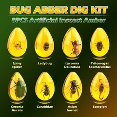 Tools from the Woumserta Amber Dig Kit for precise digging and learning