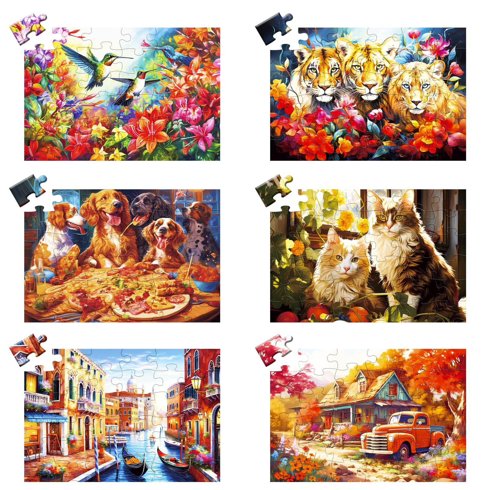 WSCXSC six-pack 36-piece puzzles offer engaging activity with easy handling for seniors.