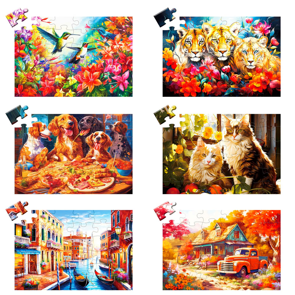 WSCXSC six-pack 36-piece puzzles offer engaging activity with easy handling for seniors.