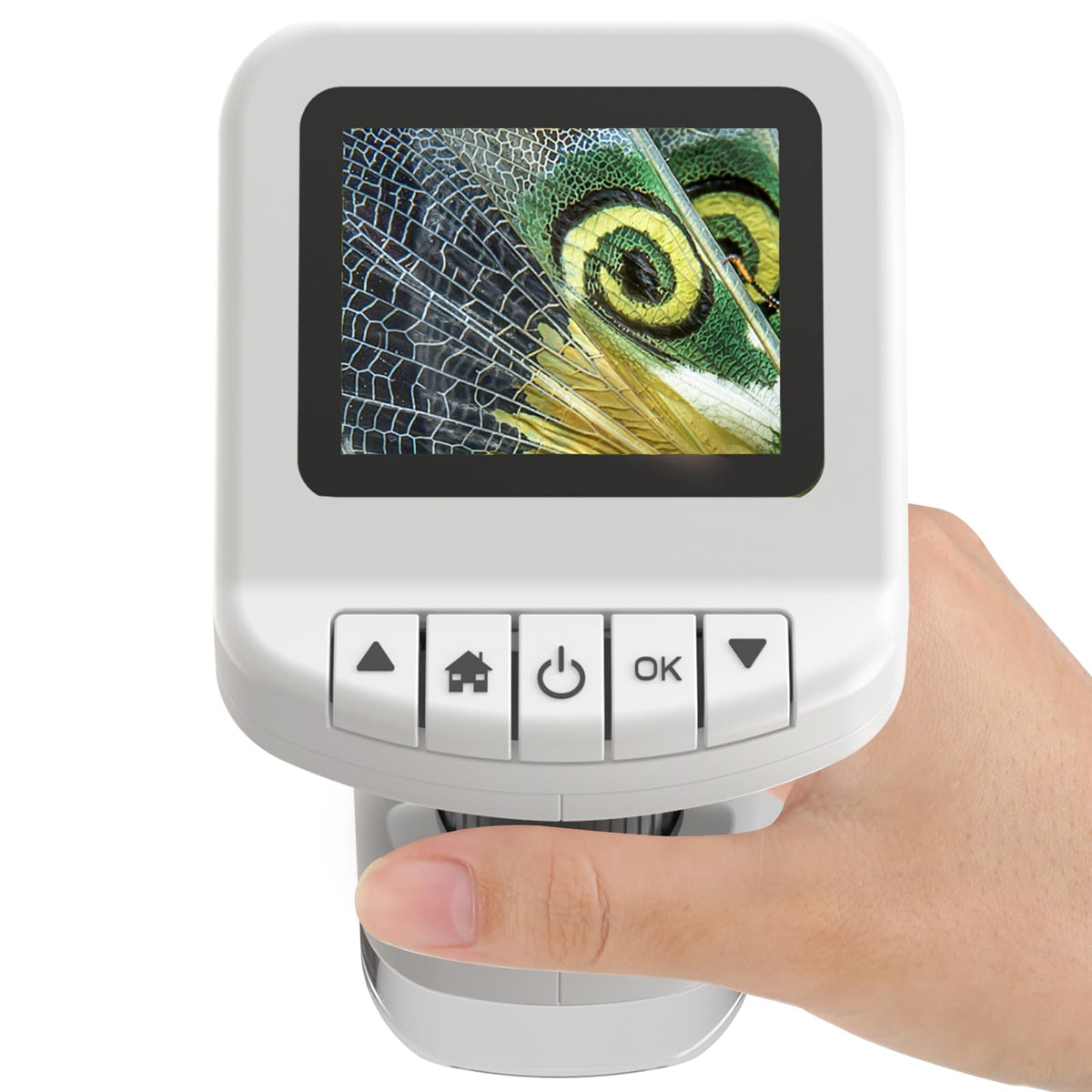 WSDMIC 1200X handheld microscope with kid-friendly display for easy in-field viewing.