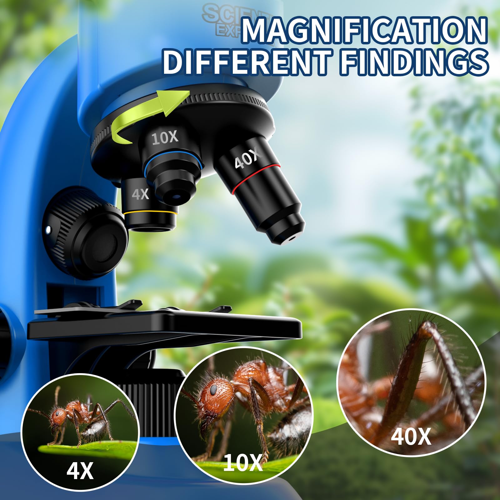 WSDMIC wide eyepieces provide a broad, comfortable field of view.