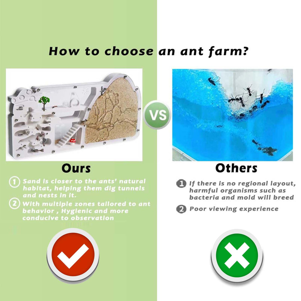 Wtsyant automatic water system reduces refills while keeping ants hydrated.