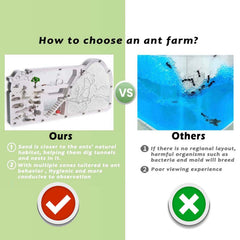 Wtsyant Ant Farm Castle highlights digging, feeding, and egg‑laying zones.