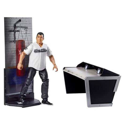 Shane McMahon figure with authentic ring attire and iconic accessories for authentic display.