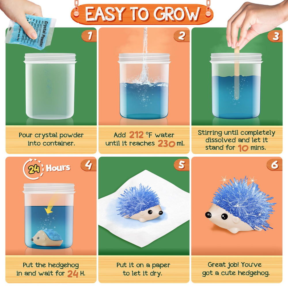 XX Crystal Growing Kit plastic containers for neat setup and display
