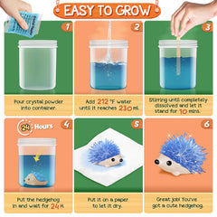 XX Crystal Growing Kit plastic containers for neat setup and display