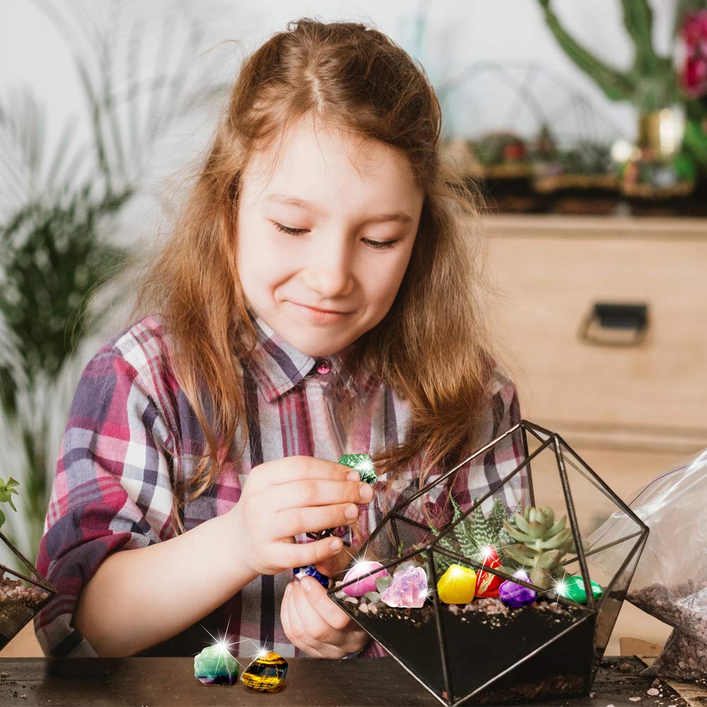 Sturdy storage case keeps rocks organized for home science stations.