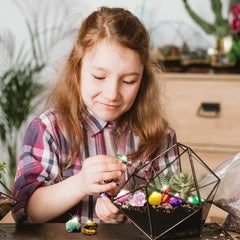 Sturdy storage case keeps rocks organized for home science stations.