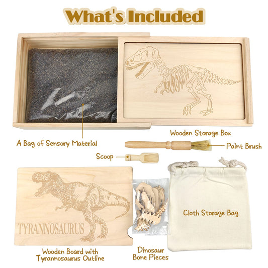 Xylolin archaeology dig kit paint brush for gentle uncovering of bones