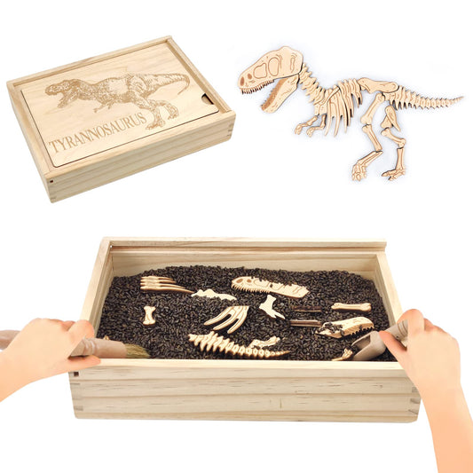 Xylolin Dinosaur Excavation bones pieces for hands-on fossil discovery and STEM play