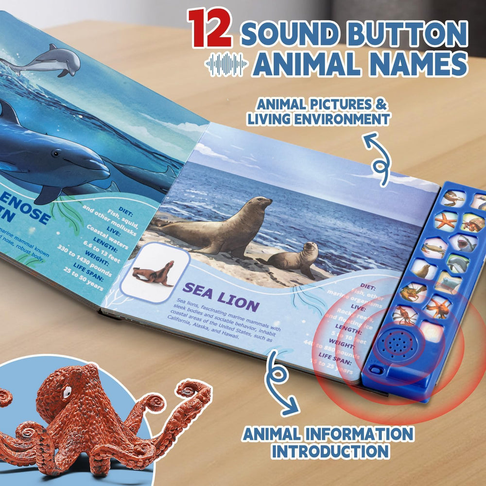 Great white shark and other sea creatures by Yeonha Toys for sensory play.
