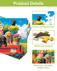 Yigney attraction-pattern puzzle features bold visuals for easy recognition.