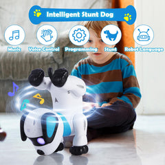 Yiman robot dog dancing mode demonstrates programmable actions for creative play
