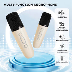 YLL mini karaoke machine rear headphone output for private practice
