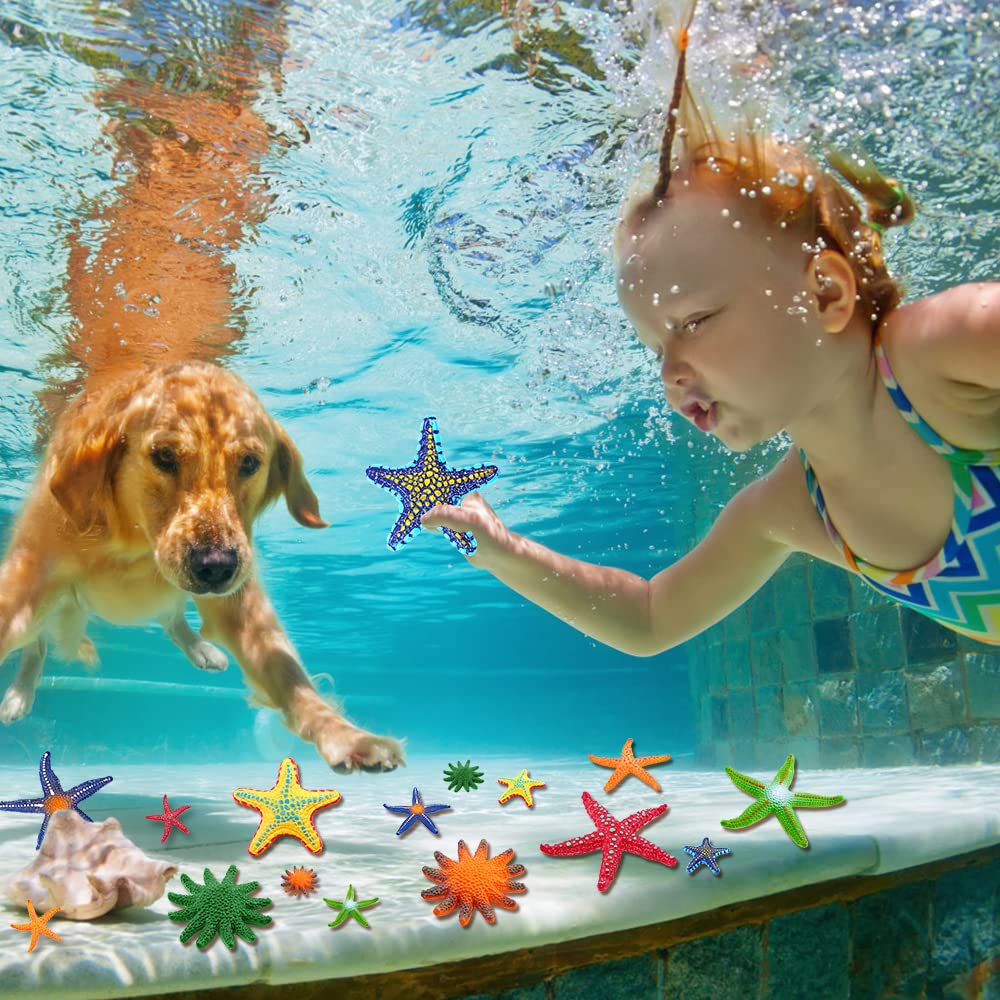 YUJUN starfish pool playset adds colorful beach and pool ambiance.