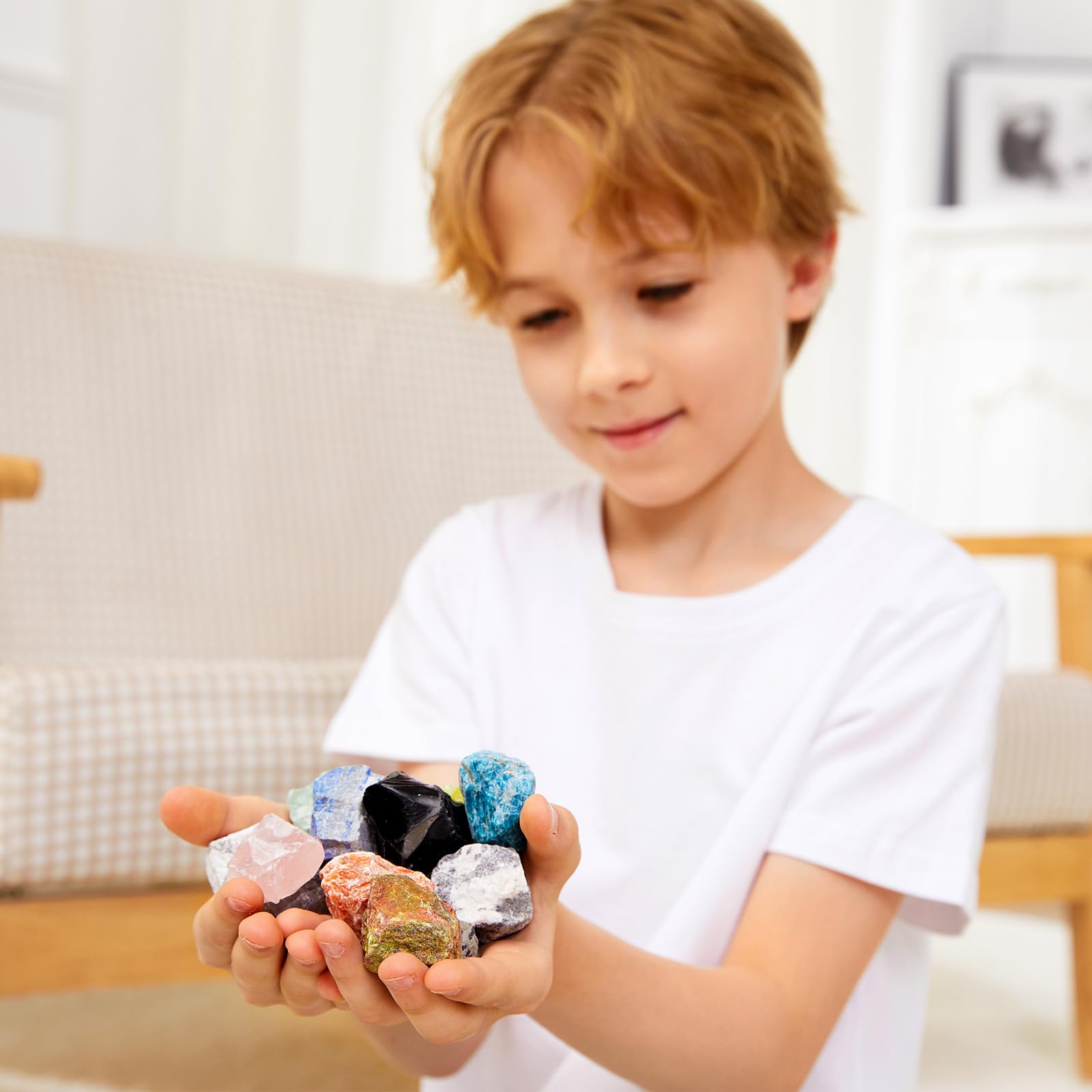 YXZZWL Rock Collection for Kids brushes enable clean surfaces for clearer viewing.