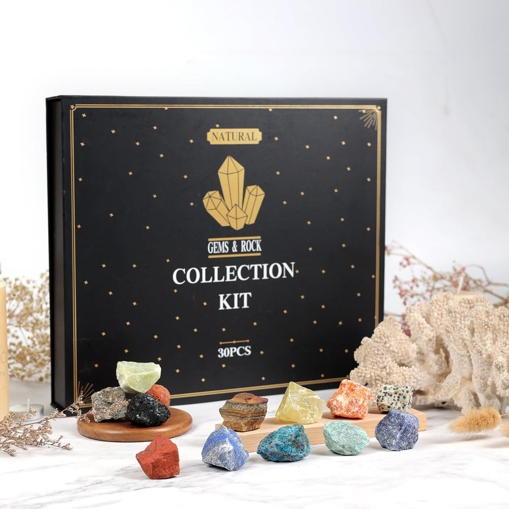 YXZZWL Rock Collection for Kids study session encourages hands-on learning.