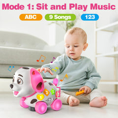 Zardali tummy-time mode supports early motor exploration.