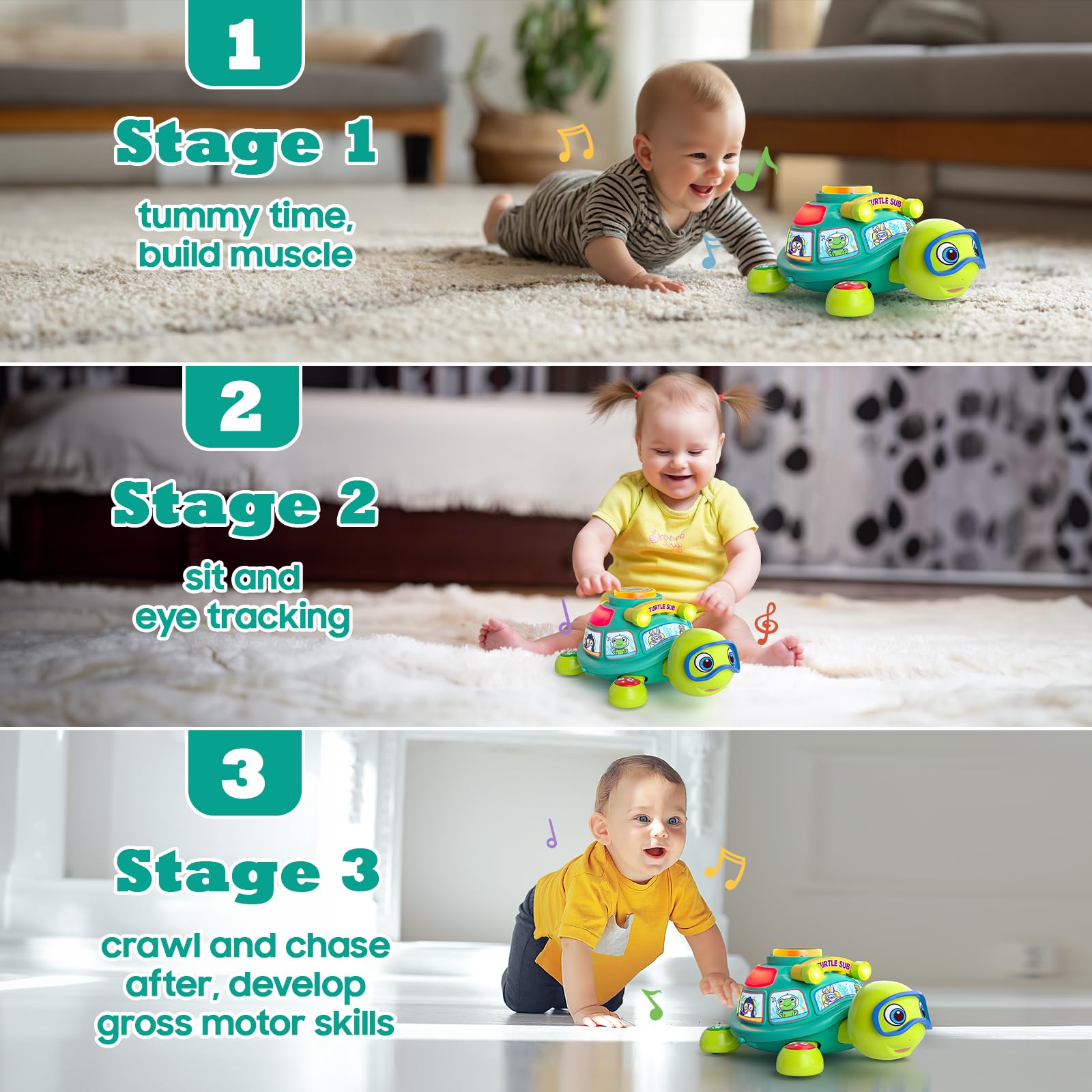Zardali musical turtle with lights for early auditory and visual play