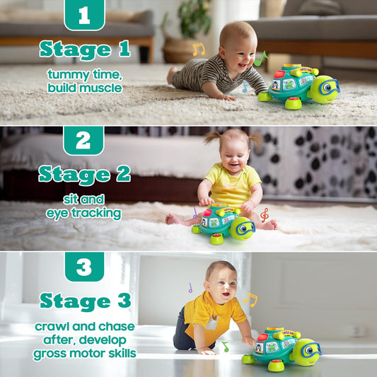 Zardali musical turtle with lights for early auditory and visual play